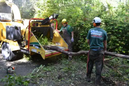 tree services Goulds